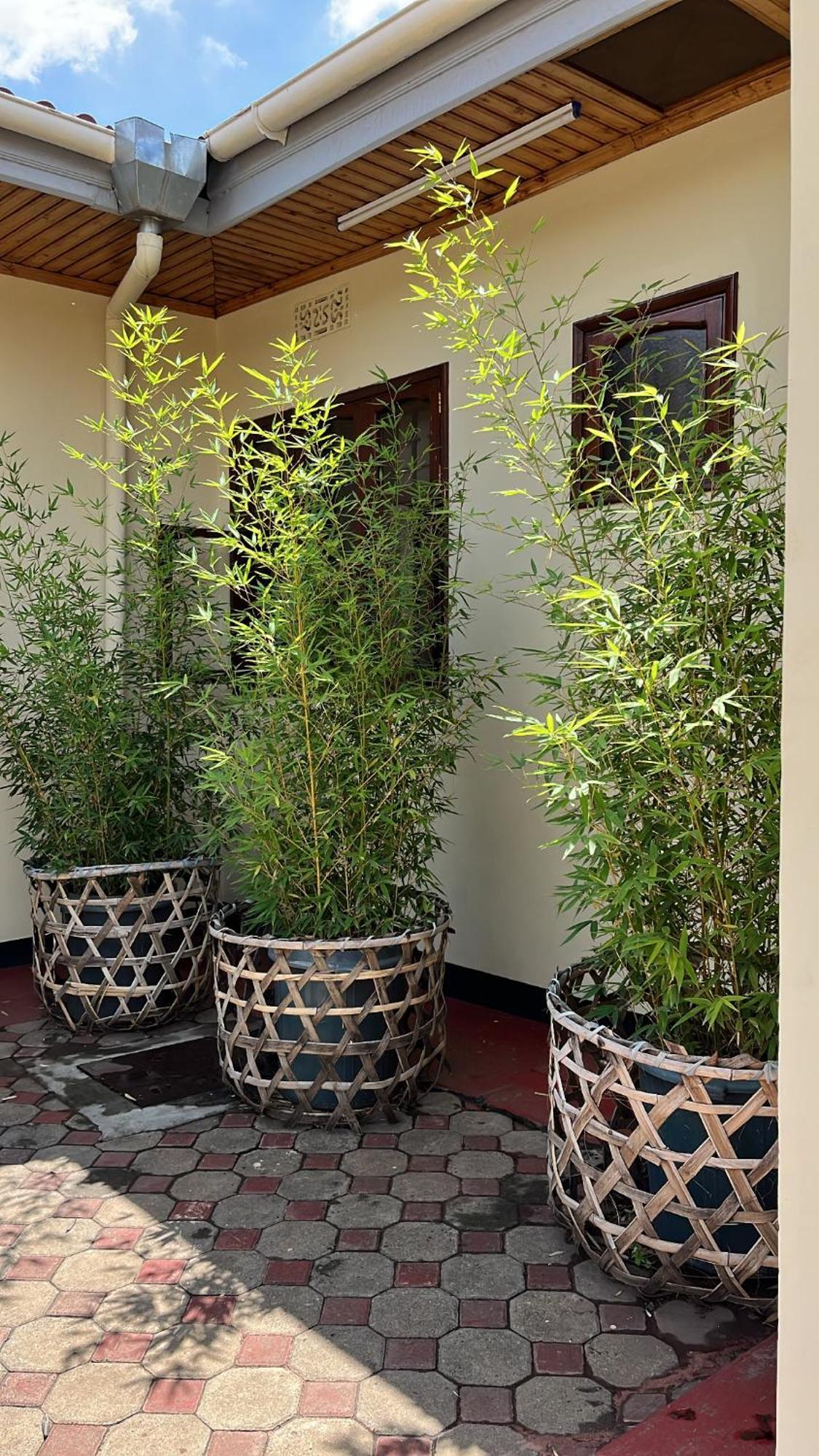 Bed and Breakfast Stasumo House Arusha Exterior foto